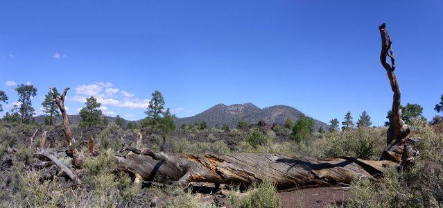 [Two images stitched together of a thick tree trunk lying on the ground. A few short branches stick out from the trunk. One longer branch at the far right extends several feet skyward. In the distance are several rounded mountains beside each other.]